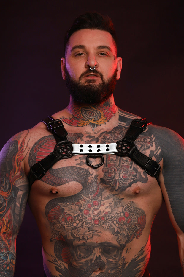 BEAST JOCK & HARNESS COMBO